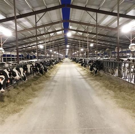 celine nederend|Brothers manage dairy with future generations in mind.